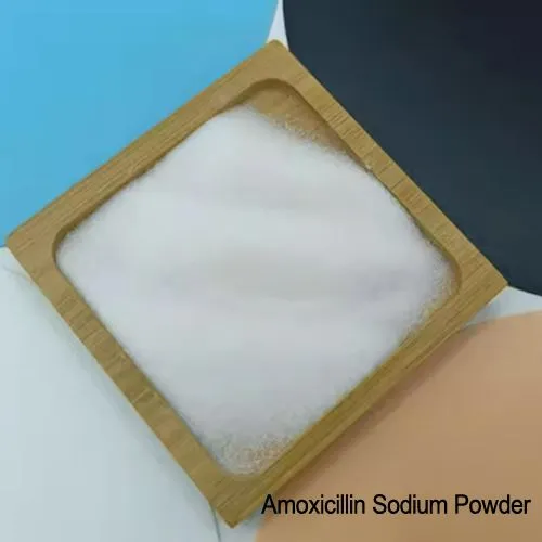 API Amoksitsillin xom ashyolari